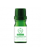 Olio Essenziale di INCENSO 15 ml.