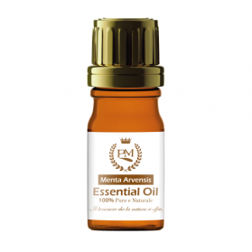 Olio Essenziale di MENTA ARVENSIS 15 ml.